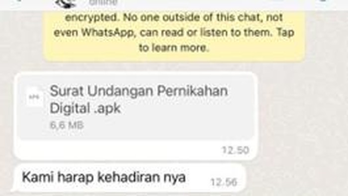 Berita Keamanan Siber